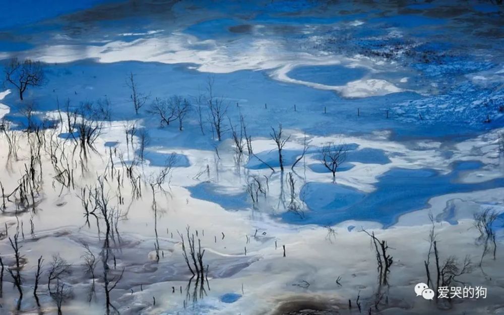 白居易|白居易这首五绝《夜雪》，从另一个角度描写雪景，可谓是推陈出新