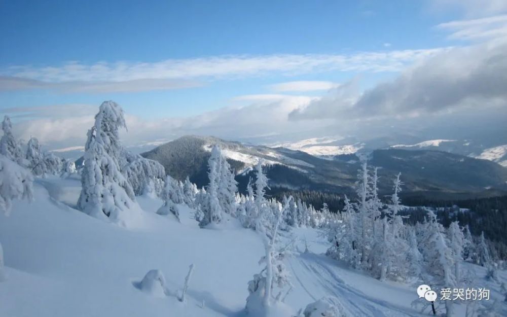 白居易|白居易这首五绝《夜雪》，从另一个角度描写雪景，可谓是推陈出新