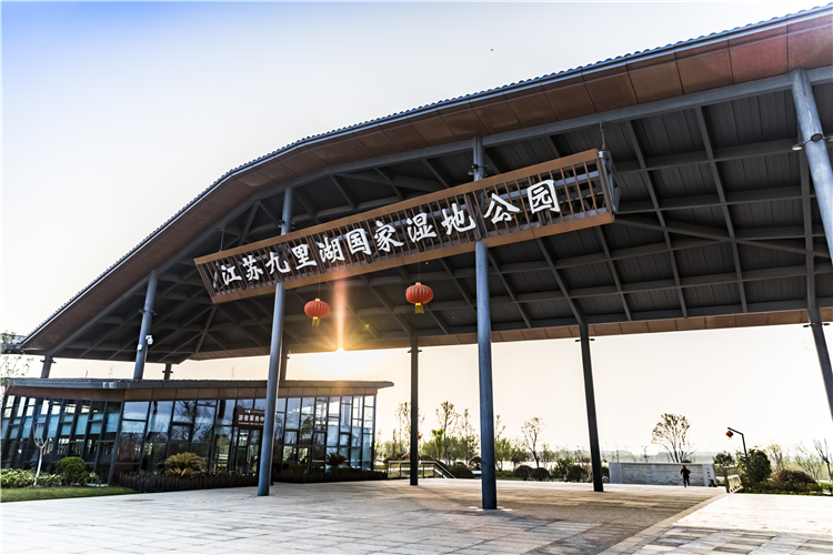 鱼先生的城,一座城,红动一座城