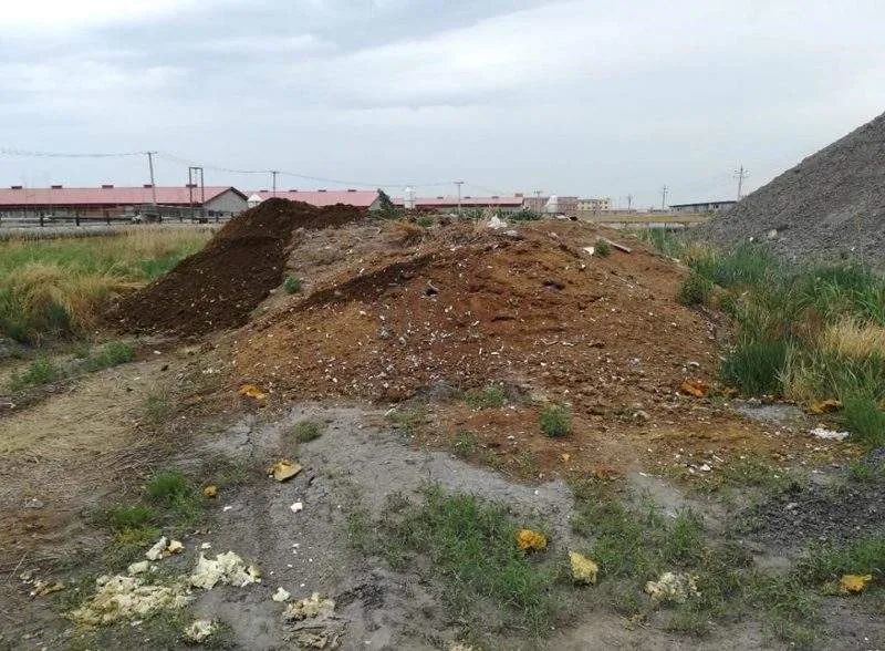 有机肥|畜禽粪是有机肥，为什么有些人说是污染环境？