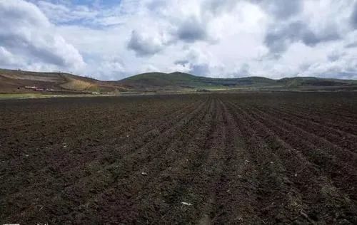 有机肥|畜禽粪是有机肥，为什么有些人说是污染环境？