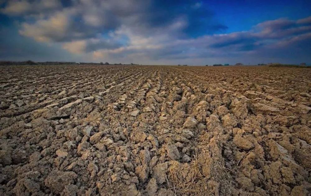 有机肥|畜禽粪是有机肥，为什么有些人说是污染环境？