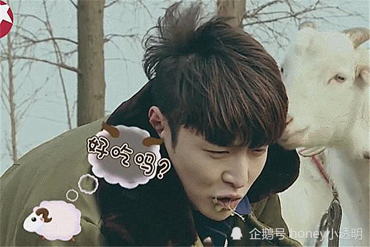 张艺兴|青梅煮酒论英雄，张艺兴选择肖战！粉丝：“张艺兴疯了吗？”