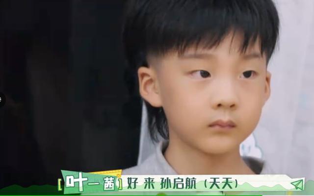 叶一茜|叶一茜直言：我是顺义妈妈，我当不了海淀妈妈，也不认同海淀妈妈