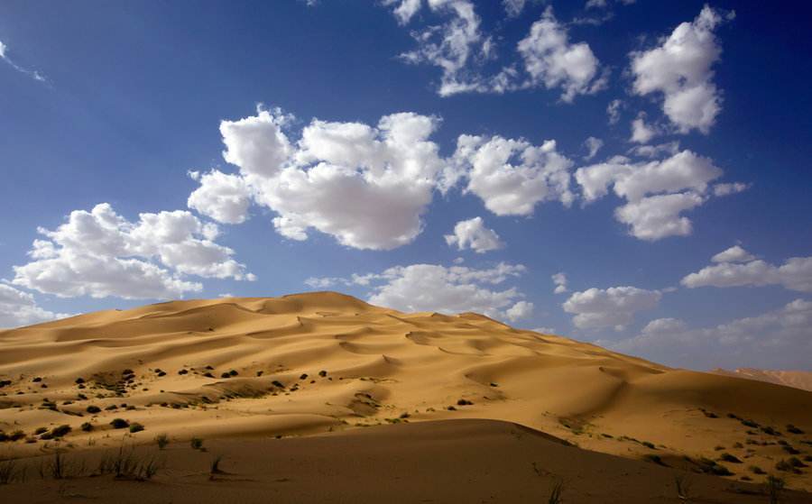 沙漠的沙子为什么不能用于建筑