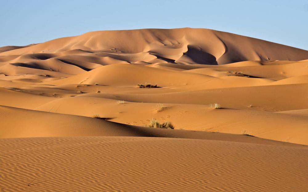 沙漠的沙子为什么不能用于建筑