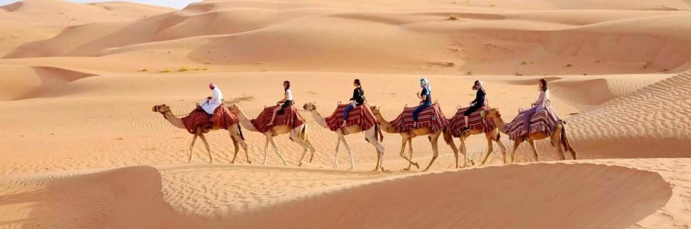 河沙|为什么沙漠的沙子不能用来建房子？