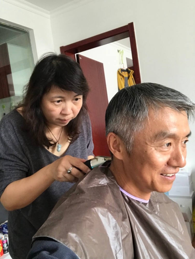 高原|高原盛开并蒂雪莲