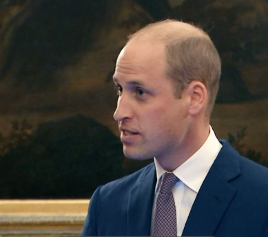 威廉王子|威廉王子以登月计划为灵感4.3亿元设立诺贝尔环境奖，马云基金会提供资金