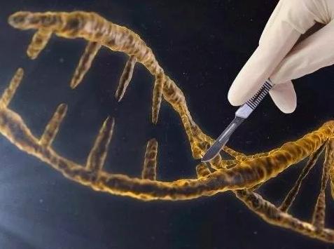 基因编辑技术|斩获诺奖的基因编辑技术，在未来或将改造人类，进行星际移民