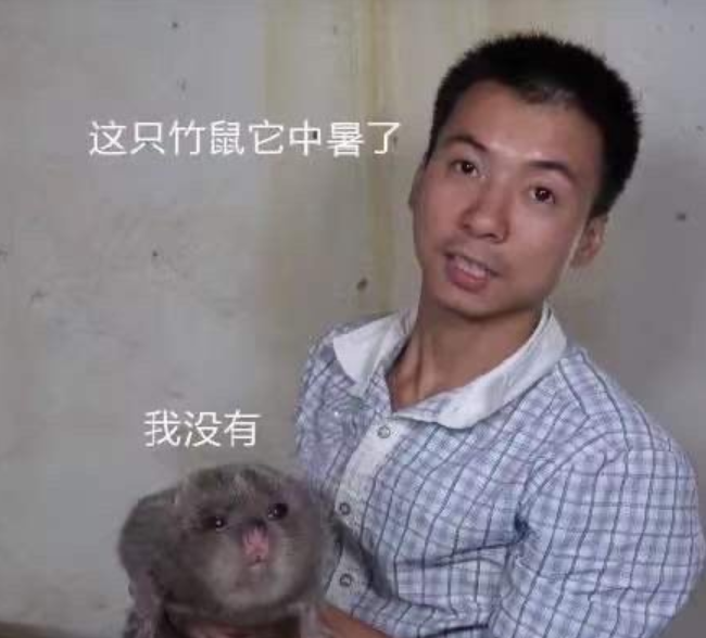 史上最严"禁野令"后,连网红养殖户都艰难维生,弹幕全哭了