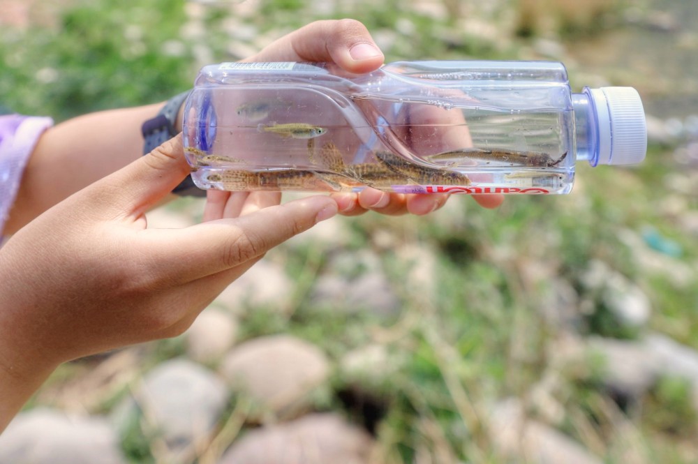 北京|北京最经典山水画廊在房山，三个最美渡口人少景美，你去过吗？