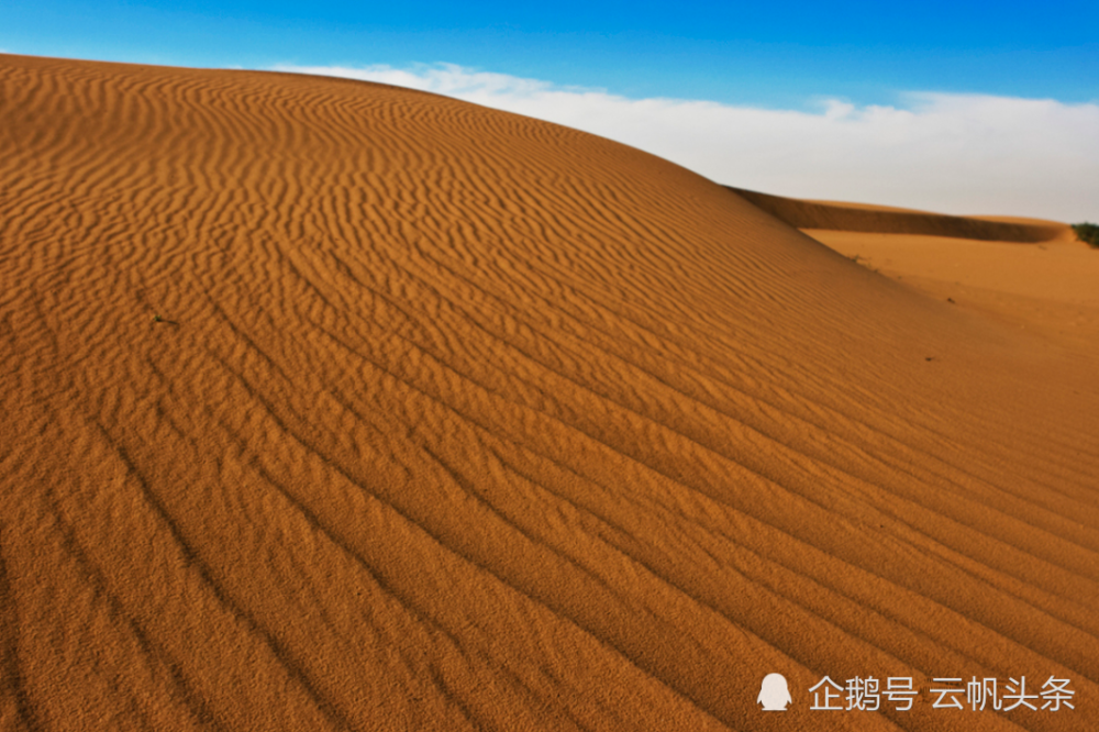 曹初阳|濯缨点评曹初阳七律一首