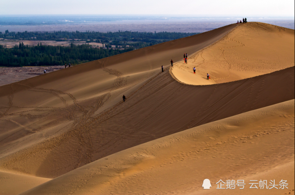 曹初阳|濯缨点评曹初阳七律一首
