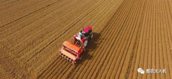 分蘖|小麦播种量多少最合适？小麦播种行距间隔多少有助于高产？