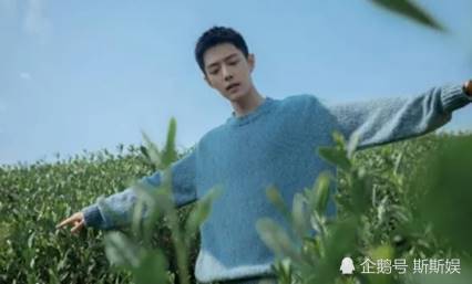 肖战|全球粉丝为肖战庆生，人气实在火爆，生日却过得糟心