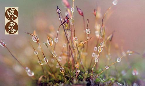 养生|从凉爽到寒冷，最全养生攻略你get到了吗？