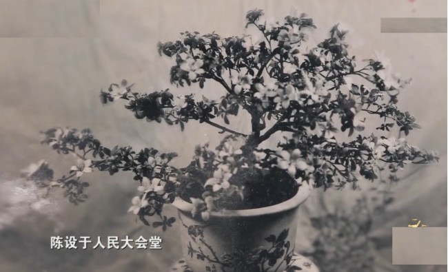 富察皇后|富察皇后佩戴的头饰全国如今仅一人会做，14亿国人无一人愿学