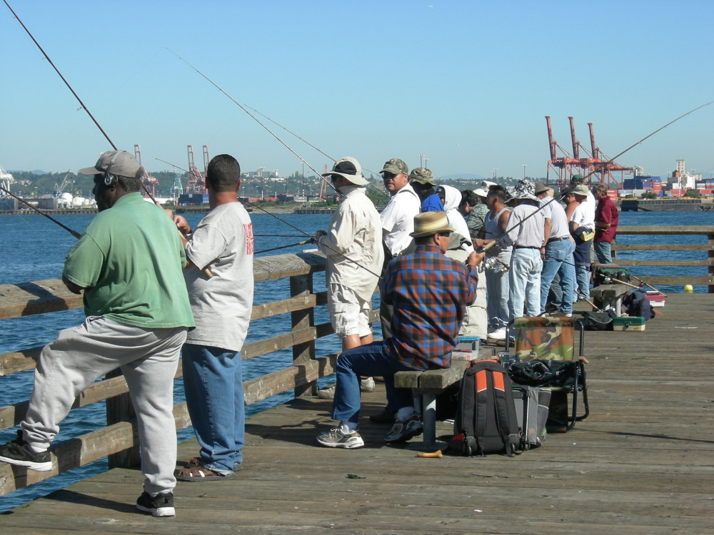 美国加利福尼亚海钓码头钓鱼篇