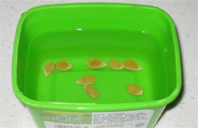 2,种子消毒