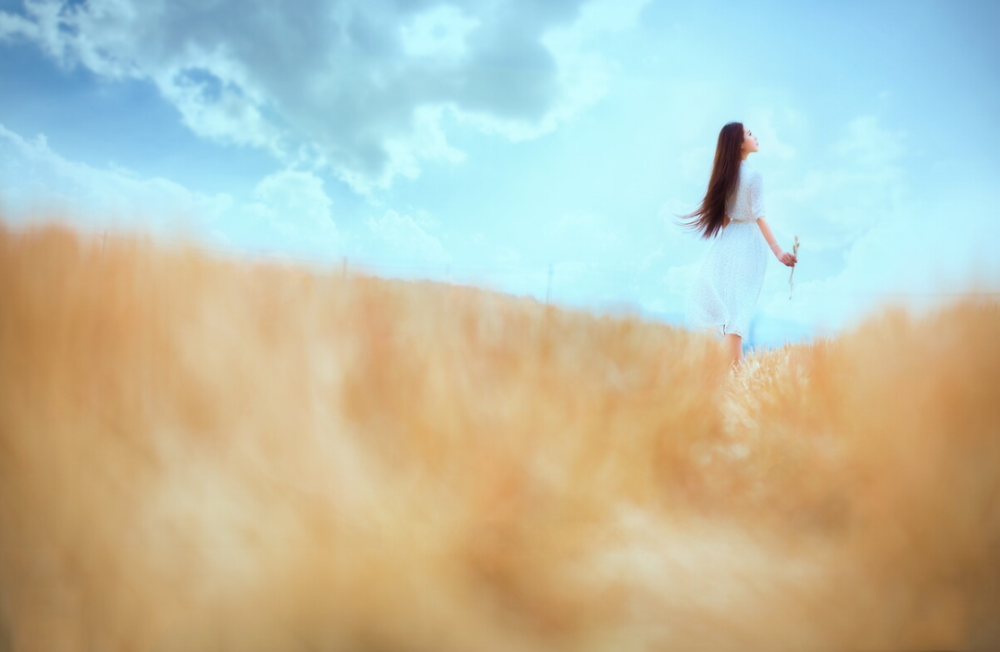 生命里|感恩生命里，所有温暖的相遇