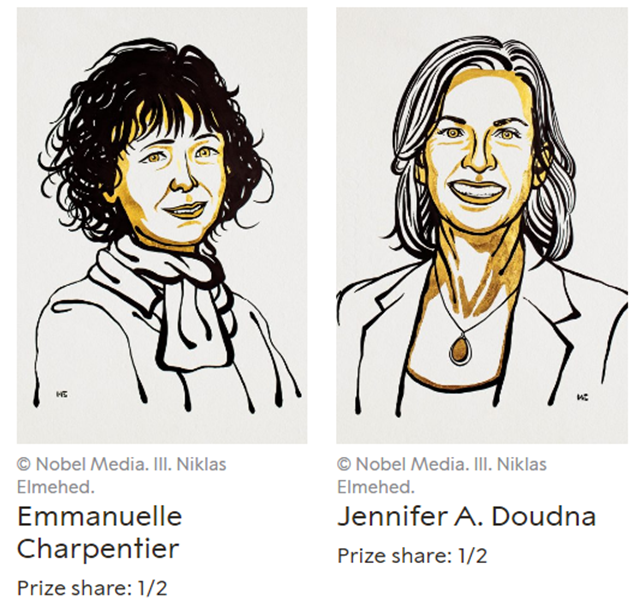 诺贝尔化学奖|当红“基因魔剪”斩获诺奖，相关公司股价大涨但挑战犹存