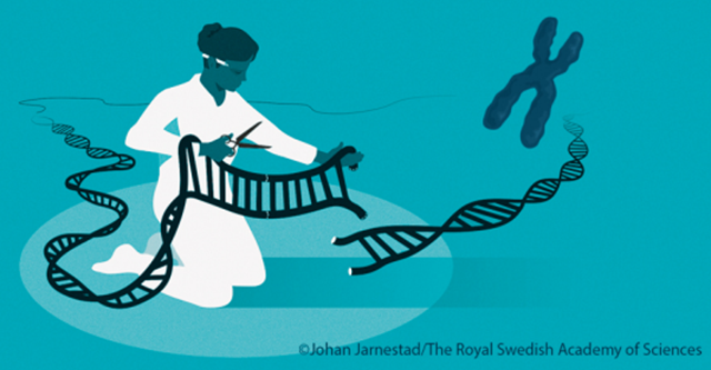 诺贝尔化学奖|当红“基因魔剪”斩获诺奖，相关公司股价大涨但挑战犹存