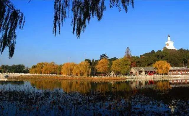 北京|北京的秋天，谁不爱呢？