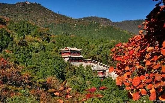 北京|北京的秋天，谁不爱呢？
