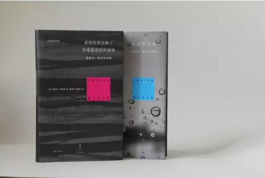 露易斯·格丽克|格丽克回应得诺奖：作为美国白人女诗人，获奖让我感到震惊