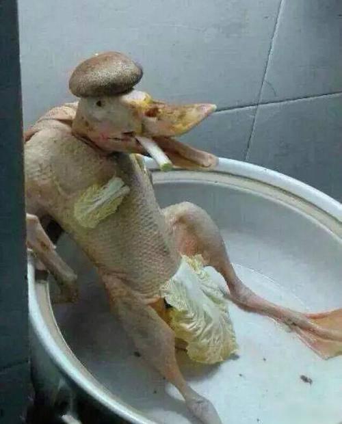 "哈哈哈哈神评屈服了!