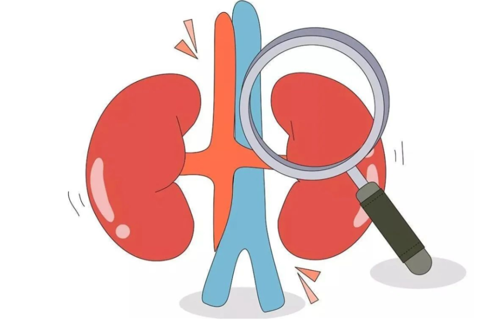 肾脏|人到中年，五个伤肾行为，最好一个不做，养护肾脏，做好六件事