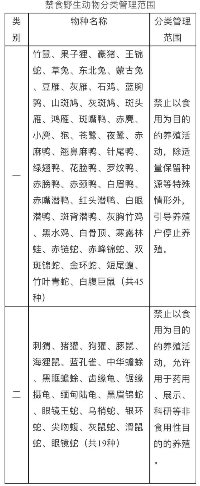 分类|官宣！竹鼠、果子狸、东北兔、刺猬64种禁食野生动物，分类管理！