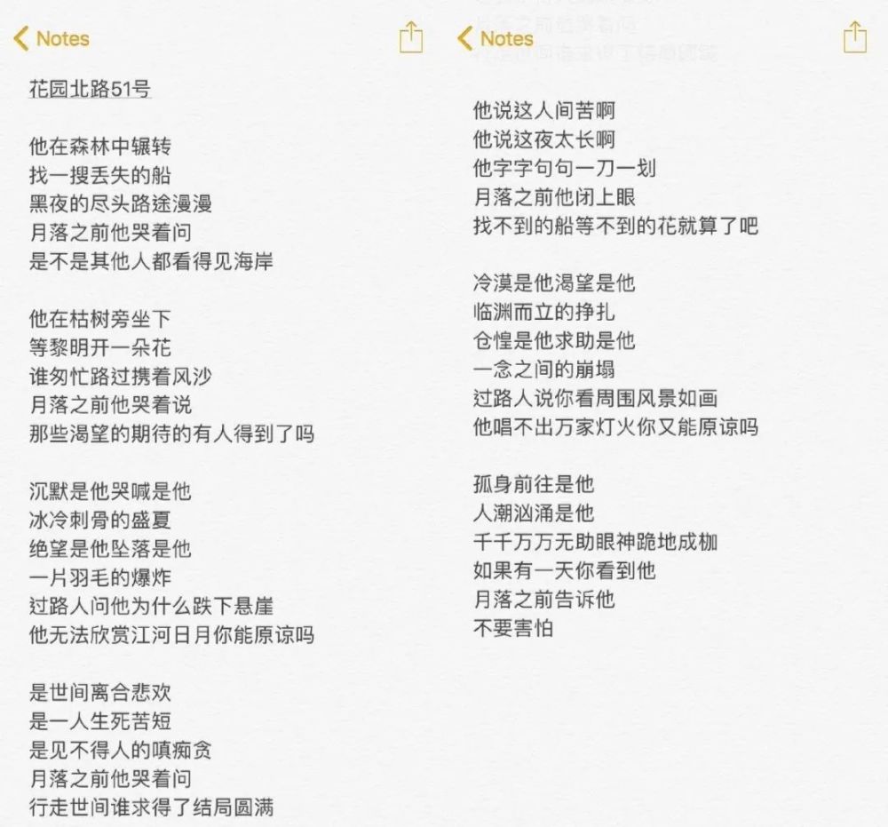 李雪琴|李雪琴，别装了