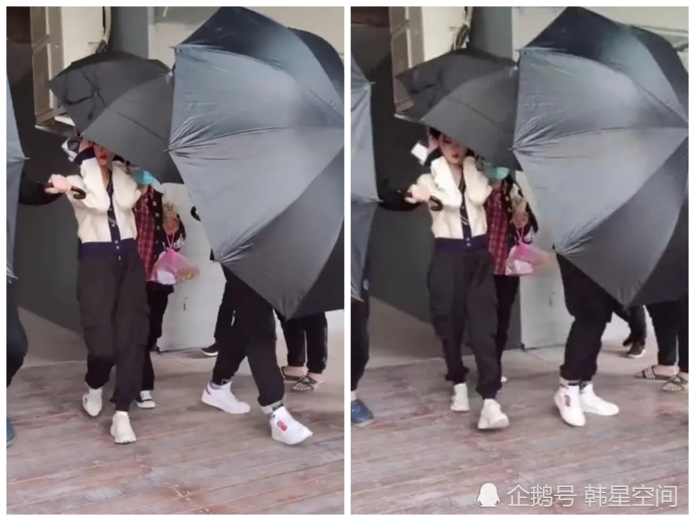 鞠婧祎|鞠婧祎出行用3把大伞，网友：“这是要干嘛？”被质疑过度耍大牌！