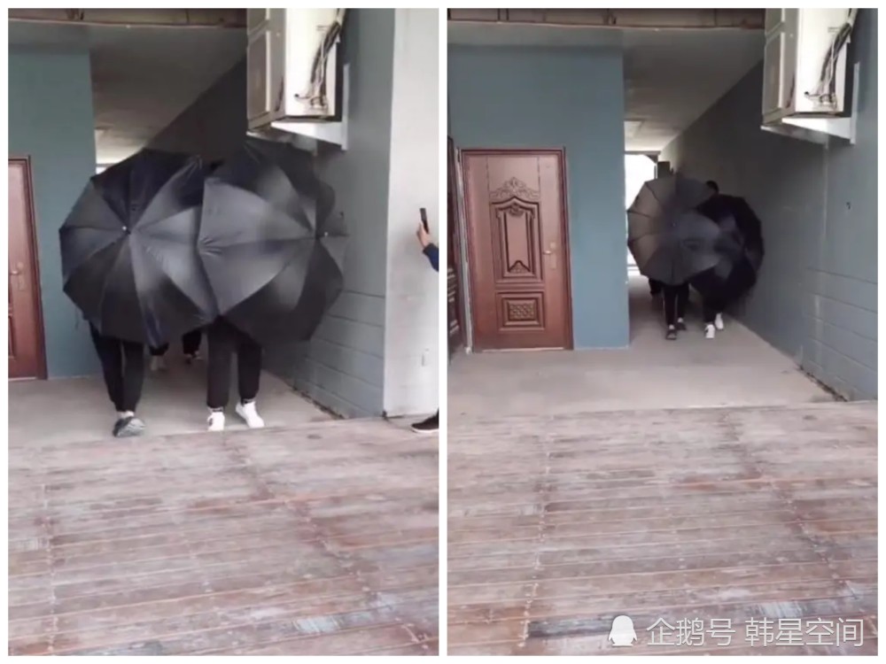 鞠婧祎|鞠婧祎出行用3把大伞，网友：“这是要干嘛？”被质疑过度耍大牌！