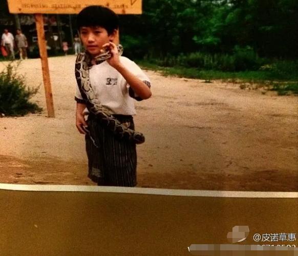 朱一龙|太疯狂！粉丝回踩泄露朱一龙隐私，录屏输身份证扒他“隐婚生子”