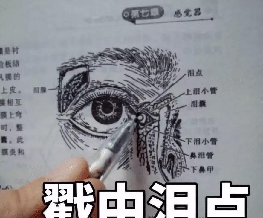 医学生表情包泪点图片