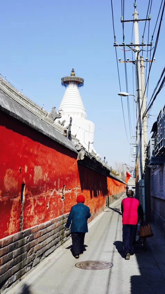 胡同|北京最美一条街在这里，4公里京城文脉浓缩700年历史文化