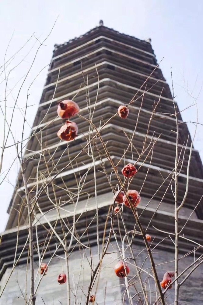 胡同|北京最美一条街在这里，4公里京城文脉浓缩700年历史文化