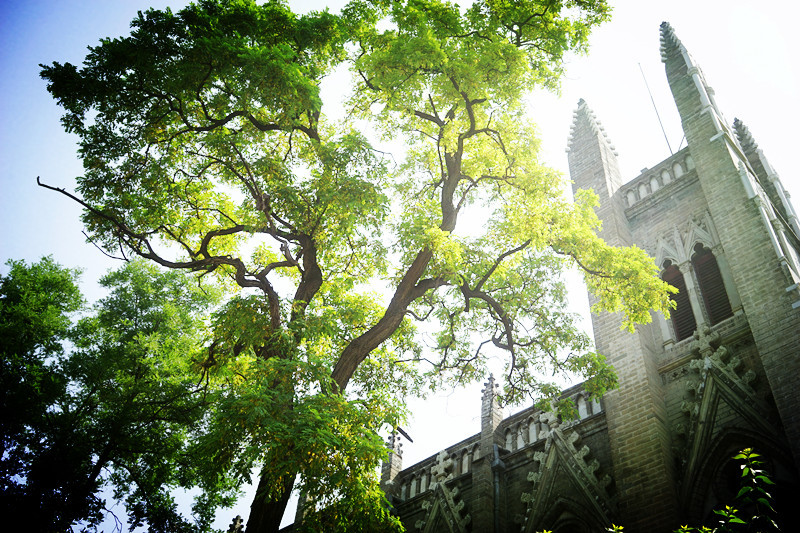 胡同|北京最美一条街在这里，4公里京城文脉浓缩700年历史文化