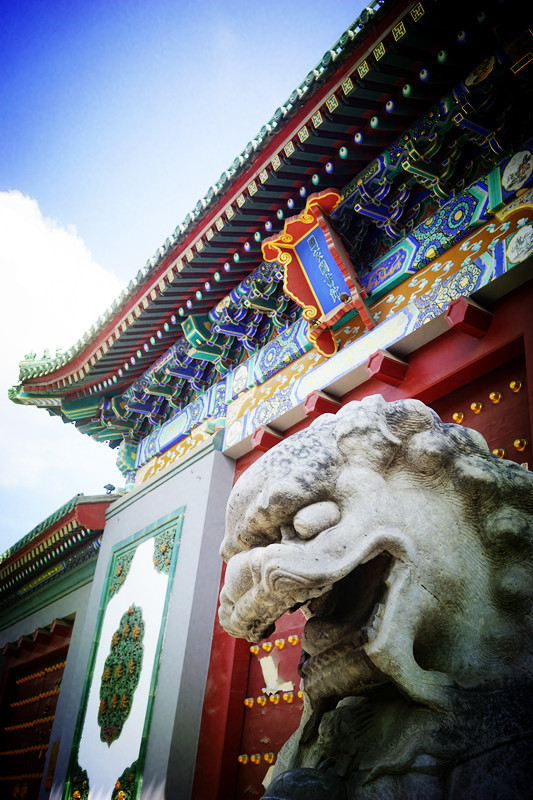 胡同|北京最美一条街在这里，4公里京城文脉浓缩700年历史文化