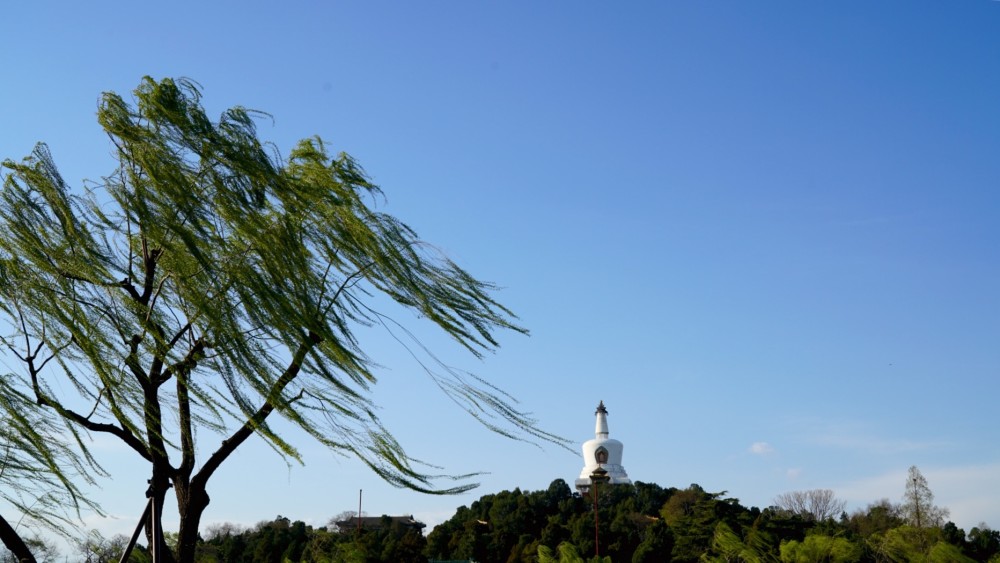 胡同|北京最美一条街在这里，4公里京城文脉浓缩700年历史文化