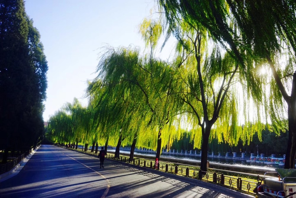 胡同|北京最美一条街在这里，4公里京城文脉浓缩700年历史文化