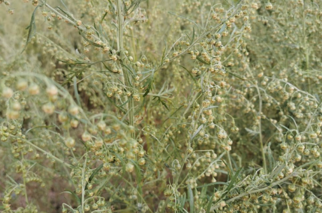 腾讯内容开放平台