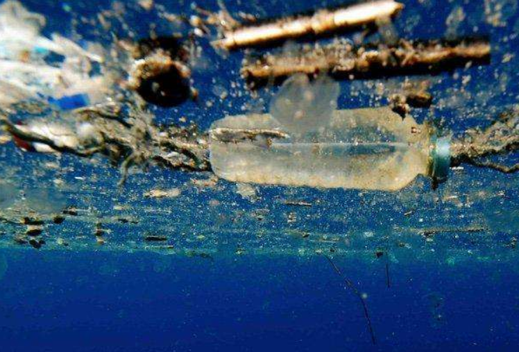 塑料垃圾|无意间拯救了地球？超级酶可快速分解塑料，人类有救了？