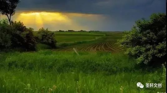 孙子兵法|《孙子兵法》：上善者谋道，下善者求术