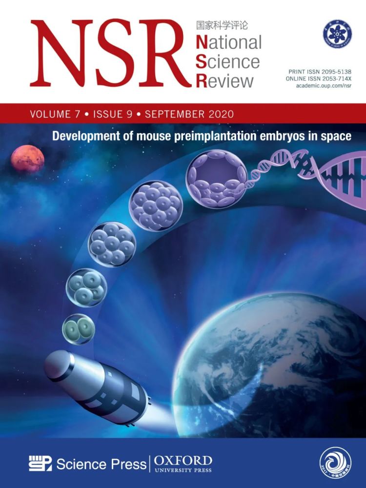 氧化锌|九月封面文章集锦