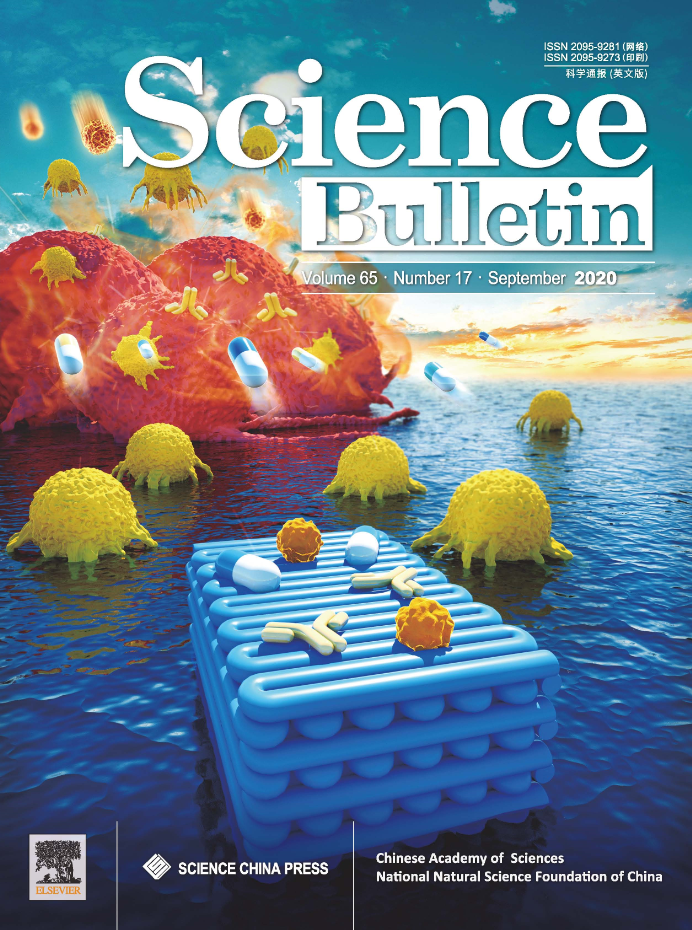 氧化锌|九月封面文章集锦