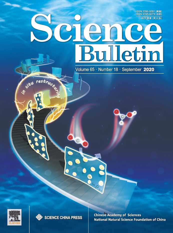 氧化锌|九月封面文章集锦